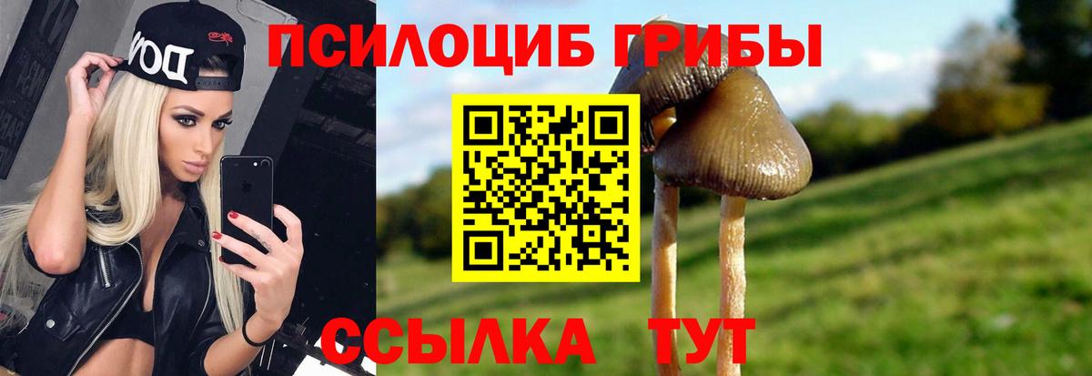 Псилоцибиновые грибы прущие грибы  Вход с VPN  Королёв  Галлюциногенные грибы прущие грибы 